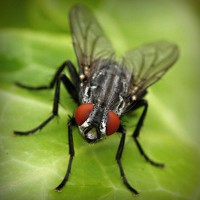 /album/schoenenprijs/photolia-a01-jpg/