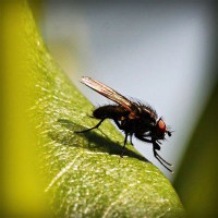/album/schoenenprijs/photolia-a04-jpg/