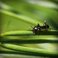 /album/schoenenprijs/photolia-a05-jpg/