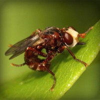 /album/schoenenprijs/photolia-a06-jpg/